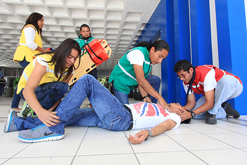 brigada
